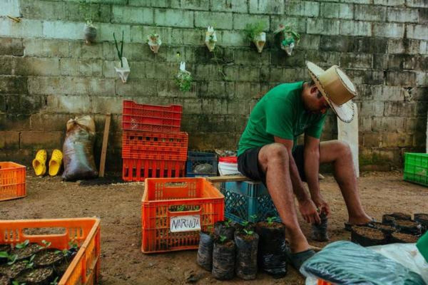 Proyecto Ecosólido en La Joyita celebra su tercer aniversario junto al programa Basura Cero